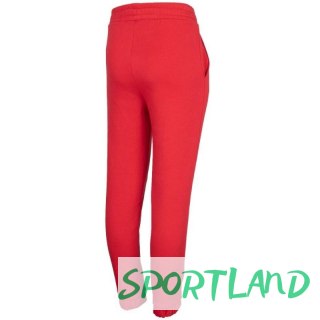 Spodnie 4F Jr HJZ22 JSPDD002 62S 128cm