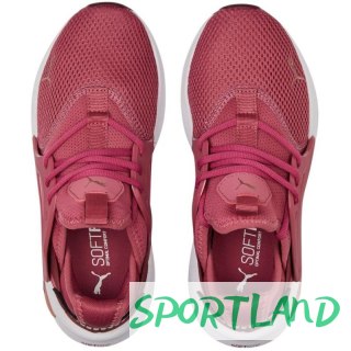 Buty Puma Softride Enzo Evo W 377048 05 37,5
