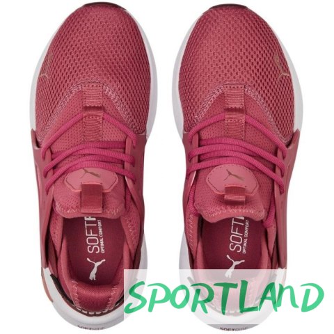 Buty Puma Softride Enzo Evo W 377048 05 37,5 Buty Puma Softride Enzo Evo W 377048 05 37,5