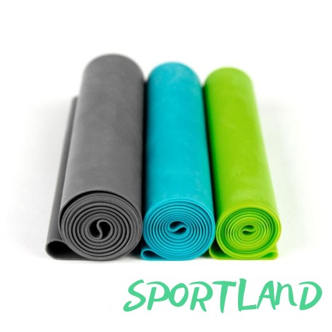 Zestaw gum treningowych Gaiam 63578 N/A Zestaw gum treningowych Gaiam 63578 N/A
