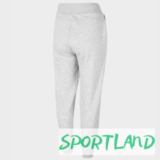 Spodnie 4F W H4Z22-SPDD351 27M XXL