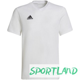 Koszulka adidas Entrada 22 Tee Jr HC0447 152cm