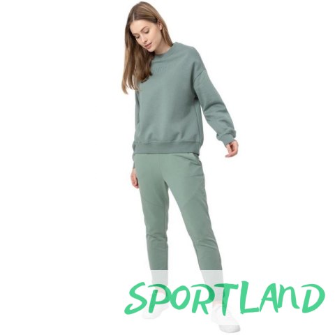 Spodnie 4F W H4Z22SPDD01842S S Spodnie 4F W H4Z22SPDD01842S S