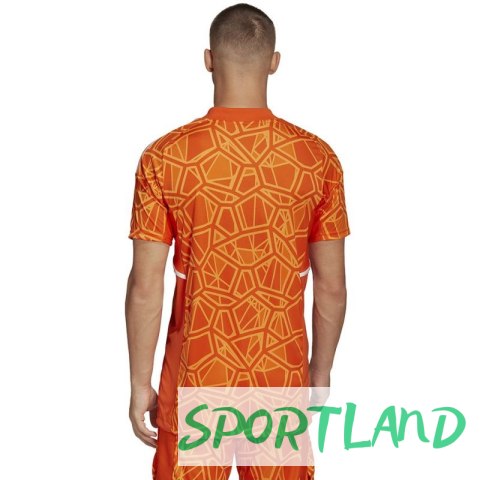 Koszulka adidas Condivo 22 Goalkeeper Jersey Short Sleeve M HB1621 M Koszulka adidas Condivo 22 Goalkeeper Jersey Short Sleeve M HB1621 M