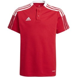 Koszulka adidas Tiro 21 Polo Jr GM7346 128cm