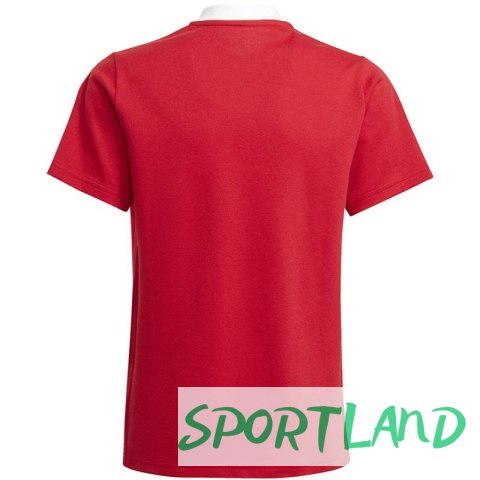 Koszulka adidas Tiro 21 Polo Jr GM7346 128cm Koszulka adidas Tiro 21 Polo Jr GM7346 128cm