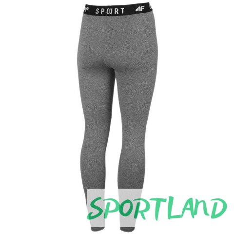 Legginsy 4F W H4Z22 SPDF351 24M S Legginsy 4F W H4Z22 SPDF351 24M S