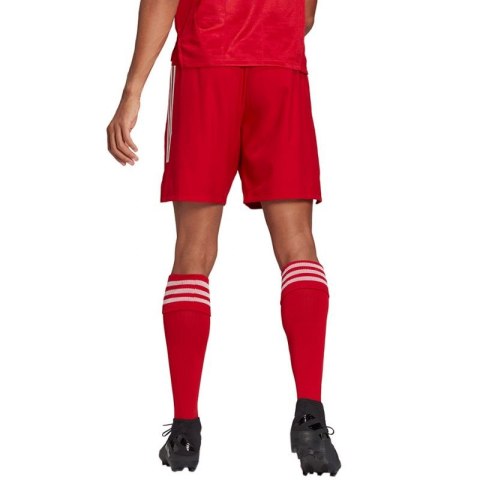 Spodenki adidas Condivo 21 Primeblue Shorts M GJ6810 L Spodenki adidas Condivo 21 Primeblue Shorts M GJ6810 L