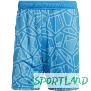 Spodenki bramkarskie adidas Condivo 22 M HB1629 M