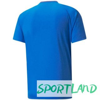 Koszulka Puma teamVision Jersey M 704921 02 S