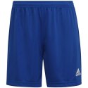 Spodenki adidas Entrada 22 W HH9998 2XL Spodenki adidas Entrada 22 W HH9998 2XL