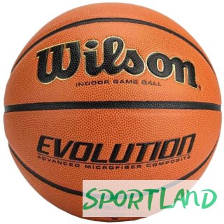 Piłka Wilson Evolution Indoor Game Ball WTB0586XBEMEA 6