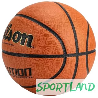 Piłka Wilson Evolution Indoor Game Ball WTB0586XBEMEA 6