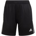 Spodenki adidas Condivo 22 Training W HI6074 XS
