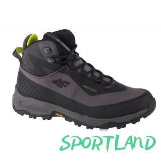 Buty 4F Ice Cracker Trekking Shoes M 4FAW22FOTSM004-21S 43