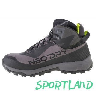 Buty 4F Ice Cracker Trekking Shoes M 4FAW22FOTSM004-21S 43