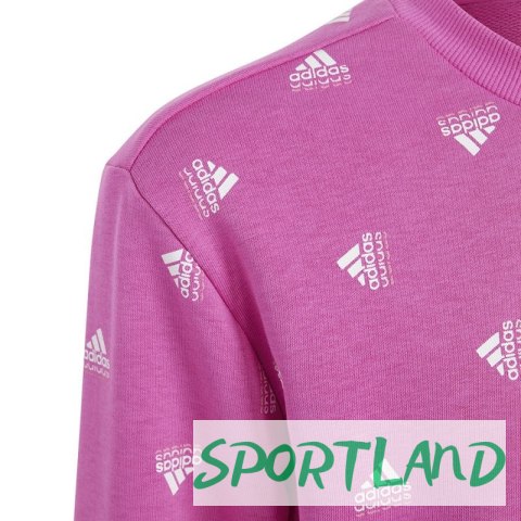 Bluza adidas Bluv Swt Jr IC5573 164 cm Bluza adidas Bluv Swt Jr IC5573 164 cm