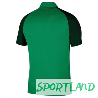 Koszulka Nike Trophy IV Y Jsy Jr BV6749 302 L (147-158cm)