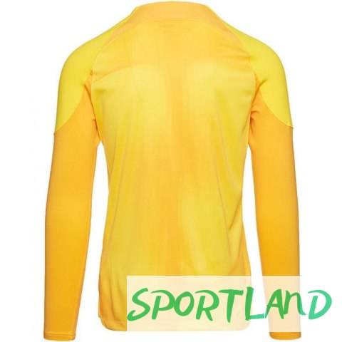 Koszulka bramkarska Nike Gardien IV Goalkeeper JSY M DH7967 719 L Koszulka bramkarska Nike Gardien IV Goalkeeper JSY M DH7967 719 L