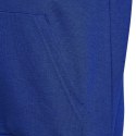 Bluza adidas Big Logo Essentials Hoody Jr HN1912 128 cm