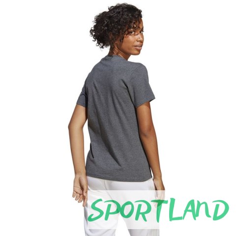 Koszulka adidas Big Logo Tee W IC0634 S Koszulka adidas Big Logo Tee W IC0634 S