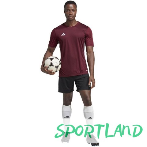 Koszulka adidas Tabela 23 Jersey M IB4928 L Koszulka adidas Tabela 23 Jersey M IB4928 L