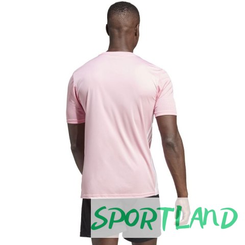 Koszulka adidas Tabela 23 Jersey M IA9144 2XL Koszulka adidas Tabela 23 Jersey M IA9144 2XL