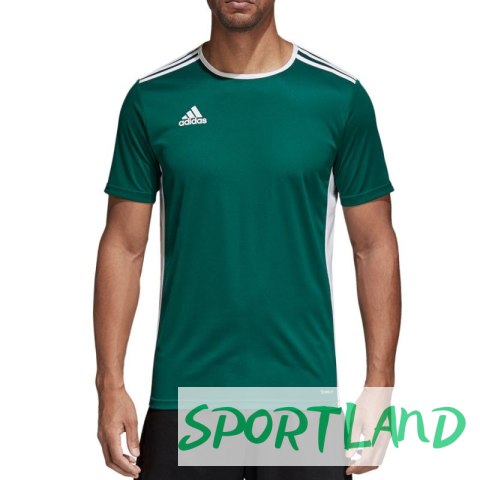 Koszulka adidas Entrada 18 Jr CD8358 116cm Koszulka adidas Entrada 18 Jr CD8358 116cm