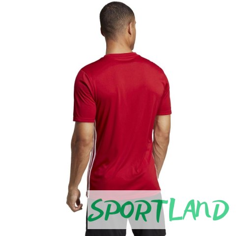 Koszulka adidas Tabela 23 Jersey M HT6552 S Koszulka adidas Tabela 23 Jersey M HT6552 S