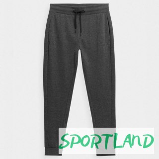 Spodnie 4F M 4FSS23TTROM223 23M M