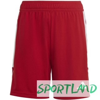 Spodenki adidas Tiro 23 League Jr IB8092 140cm