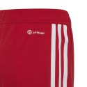 Spodenki adidas Tiro 23 League Jr IB8092 152cm