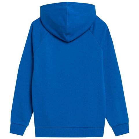Bluza 4F Jr 4FJSS23TSWSM220 36S 122cm Bluza 4F Jr 4FJSS23TSWSM220 36S 122cm