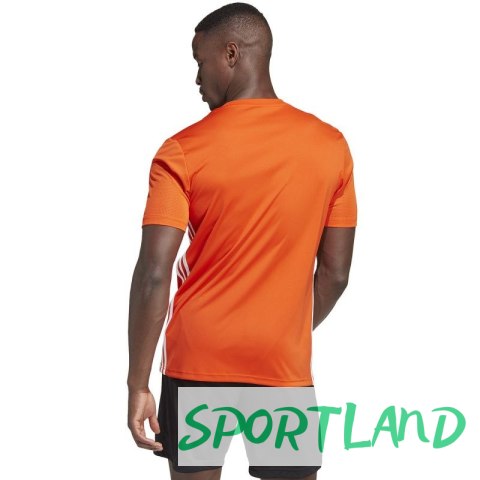 Koszulka adidas Tabela 23 Jersey M IB4927 2XL Koszulka adidas Tabela 23 Jersey M IB4927 2XL