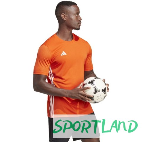 Koszulka adidas Tabela 23 Jersey M IB4927 XL Koszulka adidas Tabela 23 Jersey M IB4927 XL