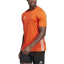 Koszulka adidas Tabela 23 Jersey M IB4927 S