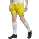 Spodenki adidas Entrada 22 M IC7404 M