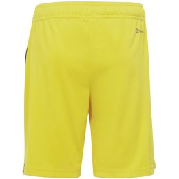 Spodenki adidas Tiro 23 League Jr IB8095 152cm