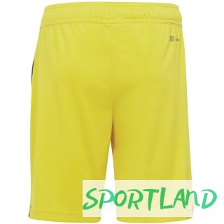 Spodenki adidas Tiro 23 League Jr IB8095 164cm