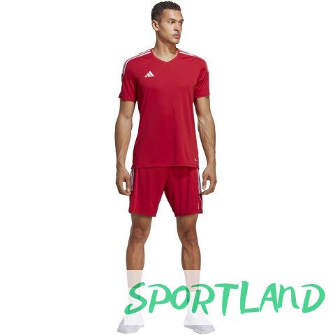 Spodenki adidas Tiro 23 League M IB8082 S Spodenki adidas Tiro 23 League M IB8082 S