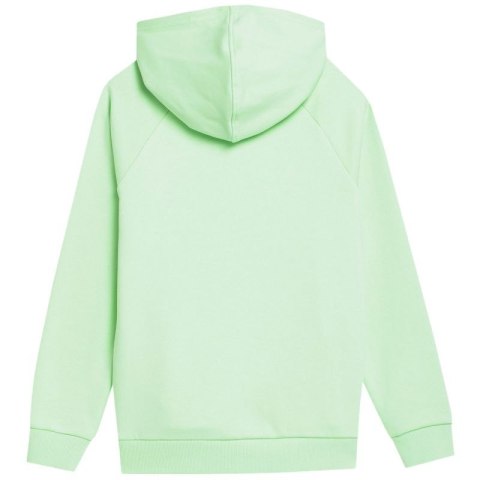 Bluza 4F Jr 4FJSS23TSWSM220 42S 164cm Bluza 4F Jr 4FJSS23TSWSM220 42S 164cm