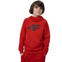 Bluza 4F Jr 4FJSS23TSWSM220 62S 128cm