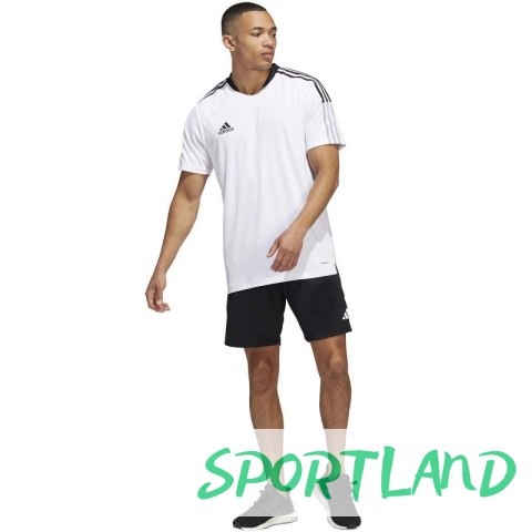 Spodenki adidas Tiro 23 Competition M HL3923 L (183cm) Spodenki adidas Tiro 23 Competition M HL3923 L (183cm)