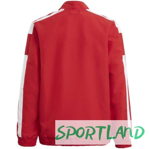 Bluza adidas Squadra 21 Presentation Jacket Jr GP6439 128cm Bluza adidas Squadra 21 Presentation Jacket Jr GP6439 128cm