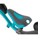 Rowerek wielofunkcyjny Globber Learning Bike 3w1 Deluxe 639-105 N/A