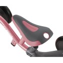 Rowerek wielofunkcyjny Globber Learning Bike 3w1 Deluxe 639-210 N/A