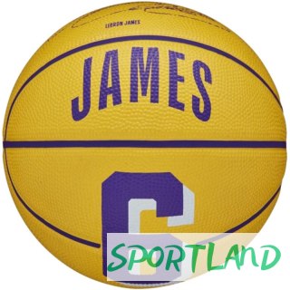 Piłka Wilson NBA Player Icon Stephen Curry Mini Ball WZ4007401XB 3
