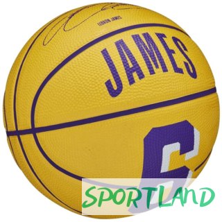 Piłka Wilson NBA Player Icon Stephen Curry Mini Ball WZ4007401XB 3