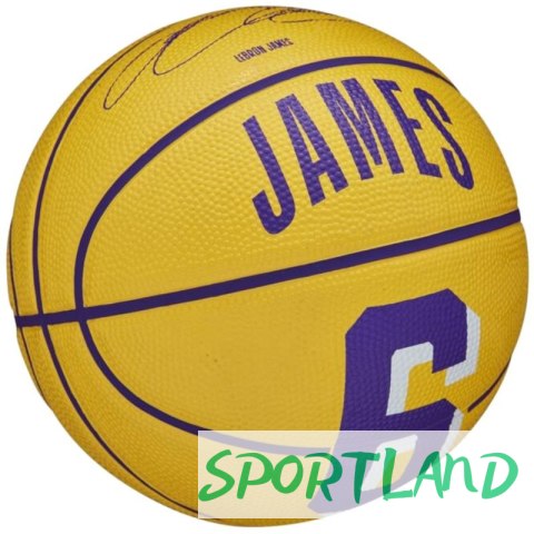 Piłka Wilson NBA Player Icon Stephen Curry Mini Ball WZ4007401XB 3 Piłka Wilson NBA Player Icon Stephen Curry Mini Ball WZ4007401XB 3