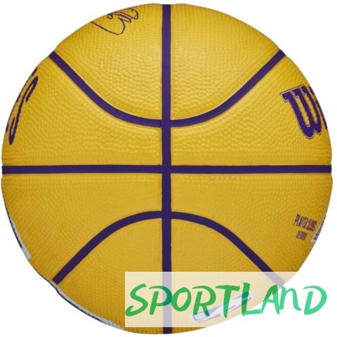 Piłka Wilson NBA Player Icon Stephen Curry Mini Ball WZ4007401XB 3 Piłka Wilson NBA Player Icon Stephen Curry Mini Ball WZ4007401XB 3